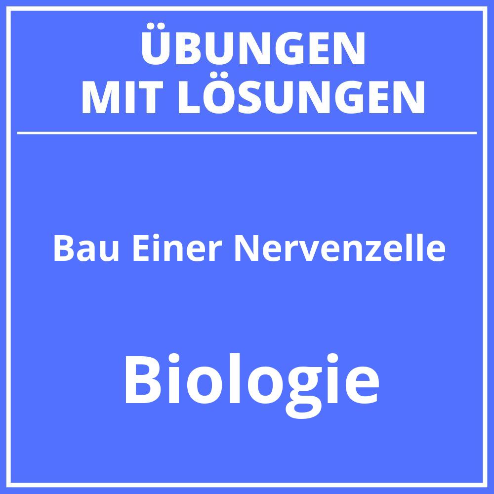 Bau Einer Nervenzelle Arbeitsblatt Lösung