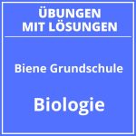 Arbeitsblätter Biene Grundschule Zum Ausdrucken PDF