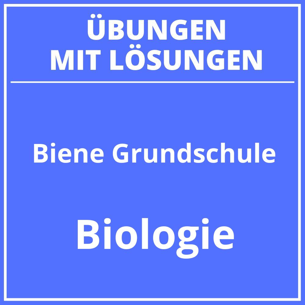 Arbeitsblätter Biene Grundschule Zum Ausdrucken