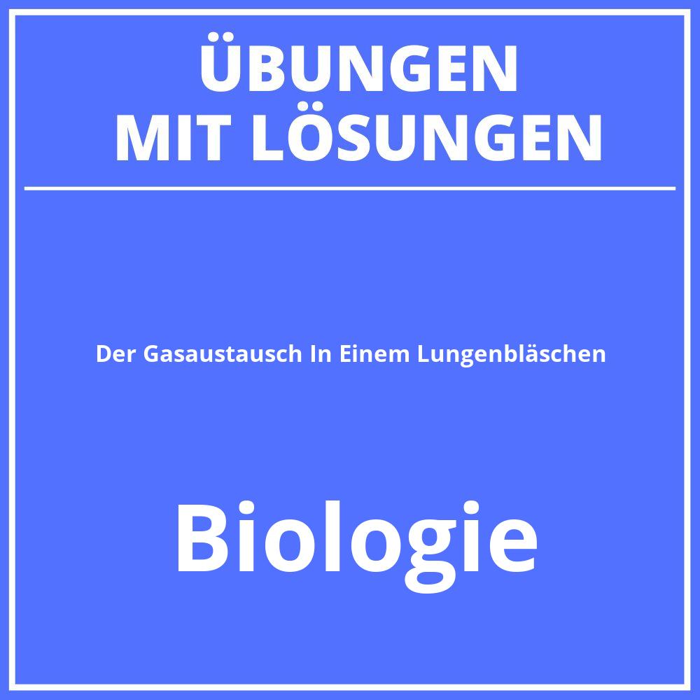 Der Gasaustausch In Einem Lungenbläschen Arbeitsblatt Lösung