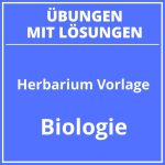 Herbarium Vorlage Zum Ausdrucken PDF