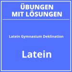 Latein 6 Klasse Gymnasium Übungen Deklination PDF