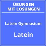 Latein 8 Klasse Gymnasium PDF