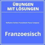 Reflexive Verben Französisch Passe Compose PDF