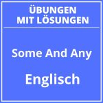 Some And Any Übungen Klasse 5 PDF
